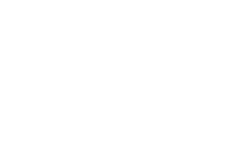 Logotipo en color blanco de la marca de ropa CHAMBERLAN: un águila negra estilizada con las alas extendidas se sitúa debajo de la palabra CHAMBERLAN en negrita y mayúscula en un tipo de letra geométrico. Debajo del águila se lee SINCE 1990 en negrita y mayúscula.